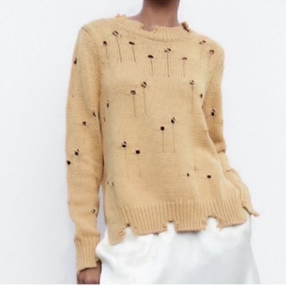 Zara Distressed Crew Neck Tan
Sweater (Size Small)
